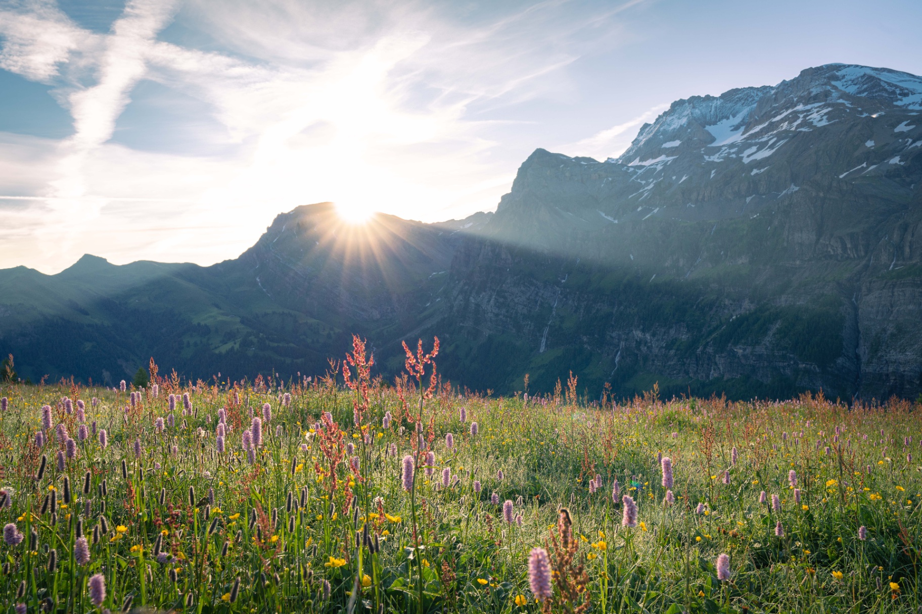 Professionelle Reinigung in den Alpen