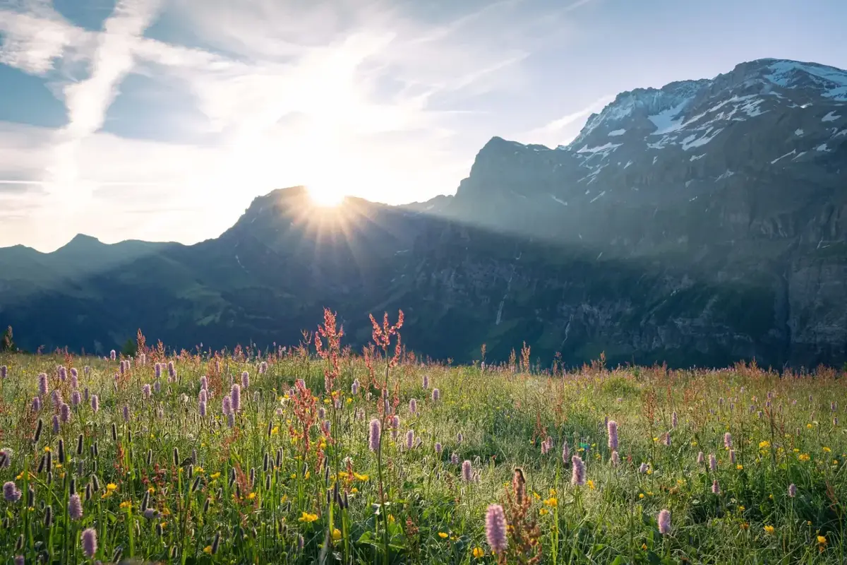 Professionelle Reinigung in den Alpen